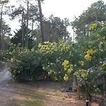 B Naturiste Maeva Chalet
