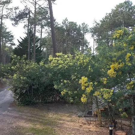 B Naturiste Maeva Шале