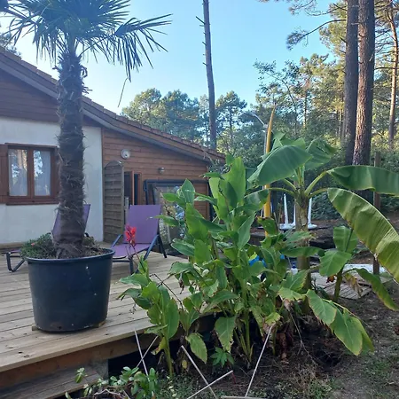 B Naturiste Maeva Chalet *